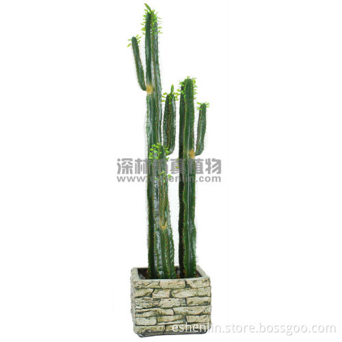 Newest biggest artificial cactus